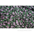 Polyester spandex kleine geruite dobby chiffon print stof